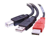 C2G "Y" Cable - Câble USB - USB type B (M) pour USB, USB (alimentation uniquement) (M) - USB 2.0 - moulé 81578