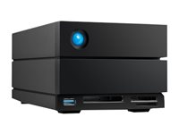 LaCie 2big Dock STLG32000400 - Baie de disques - 32 To - 2 Baies (SATA-600) - HDD 16 To x 2 - Thunderbolt 3, USB 3.2 Gen 2 (externe) - avec Plan de service de récupération des données d'une durée de 5 ans STLG32000400