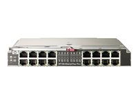 HPE 1Gb Ethernet Pass-Thru Module - Module d'extension - Gigabit Ethernet x 16 - pour BLc3000 Enclosure; BLc7000 Three-Phase Enclosure; ProLiant c3000 406740-B21