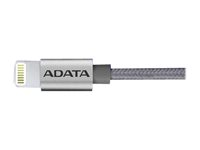 ADATA - Câble Lightning - USB (M) pour Lightning (M) - 1 m - titane - pour Apple iPad/iPhone/iPod (Lighting) AMFIAL-100CMK-CTI