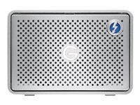 G-Technology G-RAID Removable GRARTH2EB120002BAB - Baie de disques - 12 To - 2 Baies (SATA-600) - HDD 6 To x 2 - USB 3.0, Thunderbolt 2 (externe) 0G04094