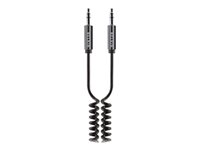 Belkin - Câble audio - mini jack stéréo (M) pour mini jack stéréo (M) - 1.8 m AV10096BT1.8M