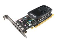NVIDIA Quadro P600 - Carte graphique - Quadro P600 - 2 Go GDDR5 - 4 x Mini DisplayPort - pour ThinkStation P320; P410; P510; P520; P520c; P710; P720; P910; P920 4X60N86659