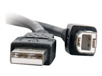 C2G - Câble USB - USB (M) pour USB type B (M) - USB 2.0 - 2 m - noir 81566