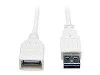 Tripp Lite 10ft USB 2.0 High Speed Extension Cable Reversible A to A M/F White 10' - Rallonge de câble USB - USB (F) pour USB (M) - USB 2.0 - 3.05 m - moulé - blanc UR024-010-WH
