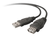 Belkin USB Extension Cable - Rallonge de câble USB - USB (M) pour USB (F) - USB 2.0 - 3 m - moulé F3U134R3M